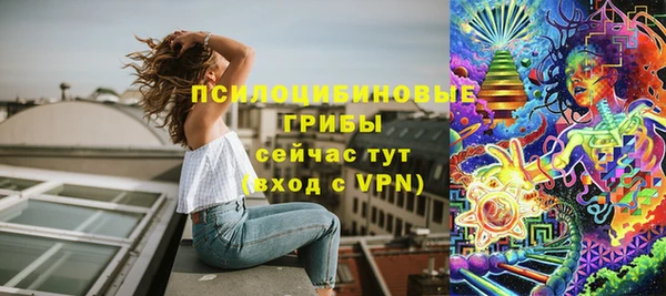 сатива Алексин