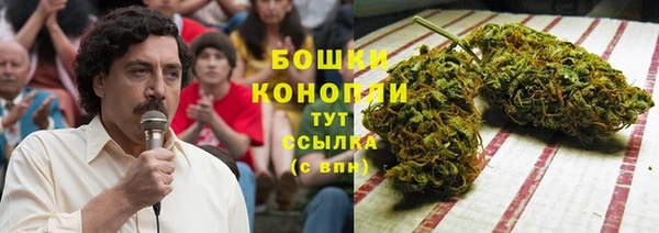сатива Алексин