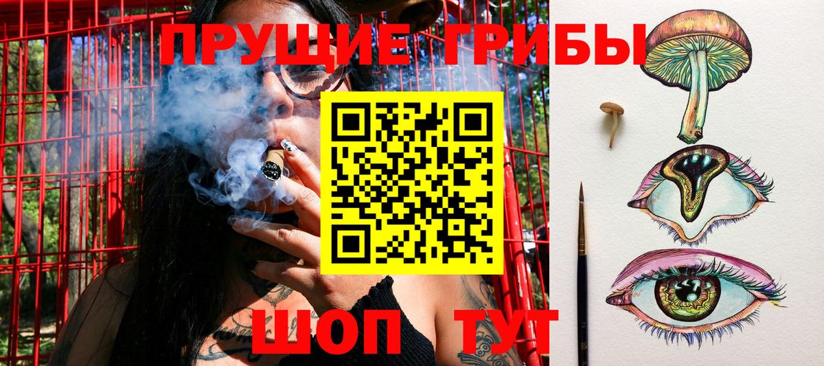 Псилоцибиновые грибы Североуральск