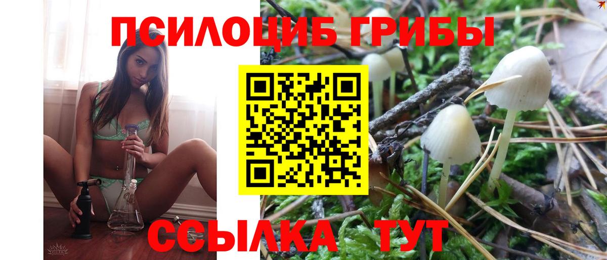 Галлюциногенные грибы MAGIC MUSHROOMS Североуральск